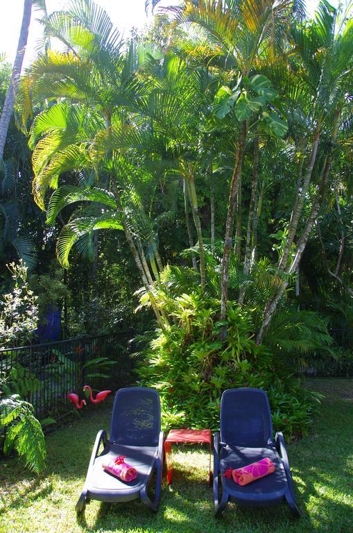 Pink Flamingo Resort Port Douglas Luaran gambar