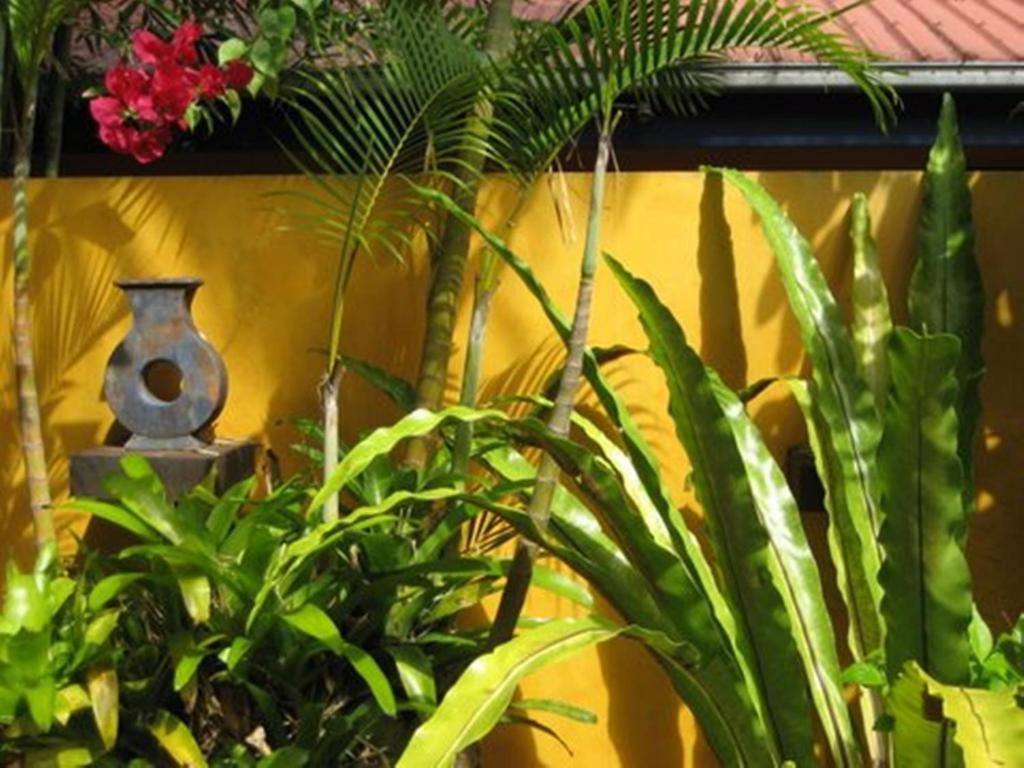 Pink Flamingo Resort Port Douglas Luaran gambar