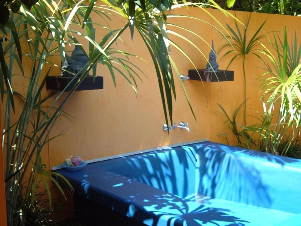 Pink Flamingo Resort Port Douglas Luaran gambar